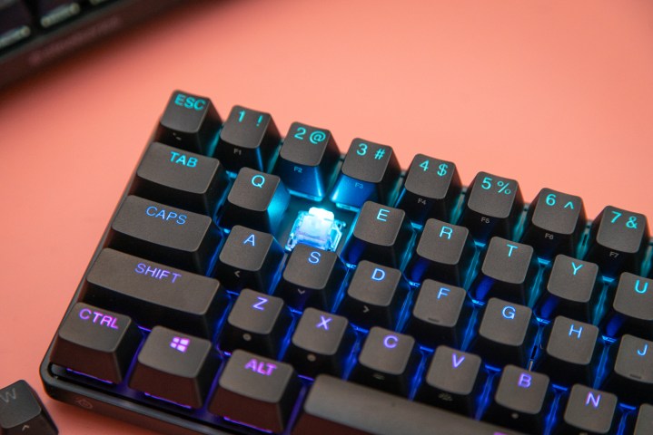 Omnipoint switches on the SteelSeries Apex Pro Mini Wireless.