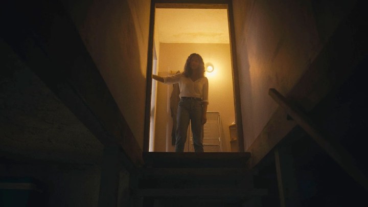 A woman looks down from a flight of stairs in Barbarian.