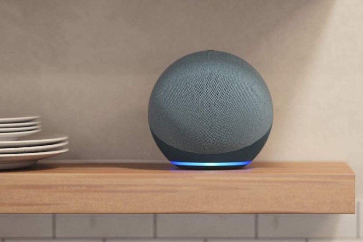 Echo Dot (4th generation) on shelf in kitchen.