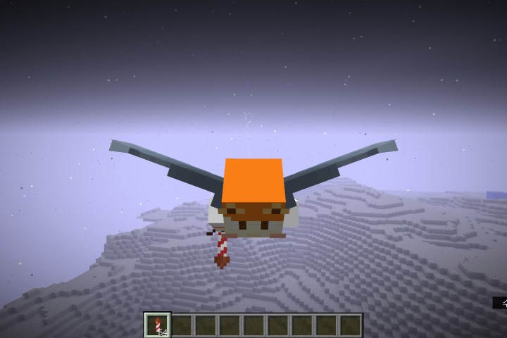 Flying with the Elytra.