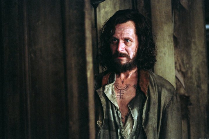 Gary Oldman as Sirius Black. 
