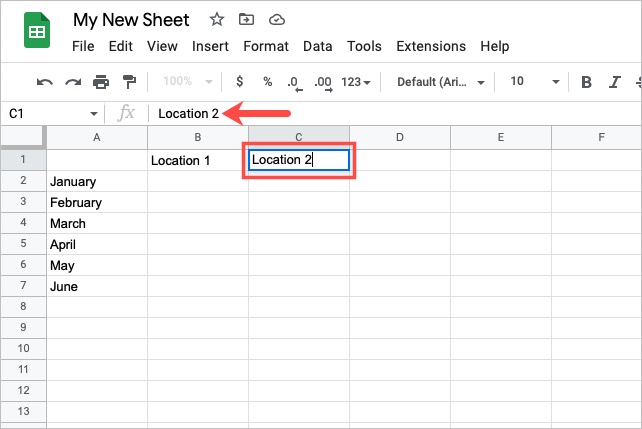 Data entered into a cell in Google Sheets.