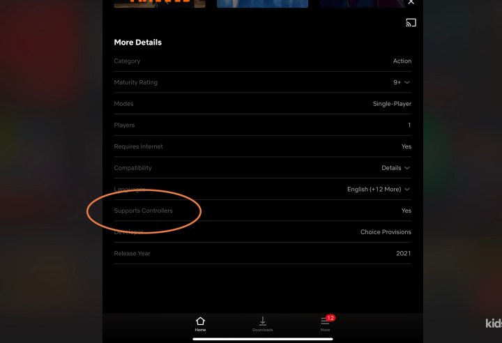 Netflix game controller support.