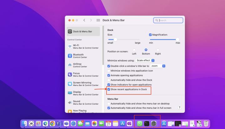 Removing recent apps in MacOS dock