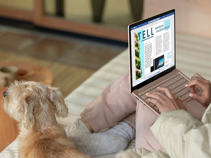 Using a Microsoft Surface Laptop 4 sitting on a couch with a dog.