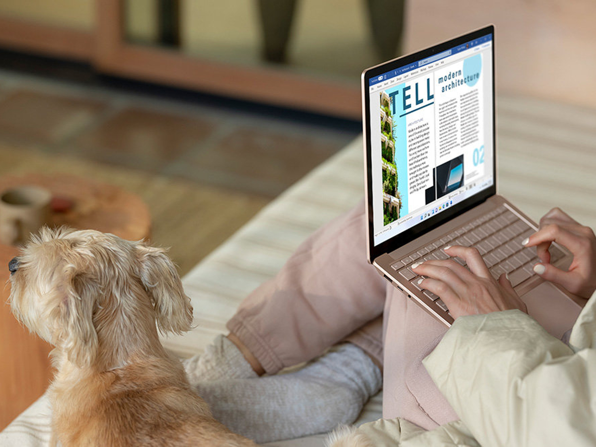 با استفاده از مایکروسافت سرفیس لپ تاپ 4، نشستن روی مبل با یک سگ.