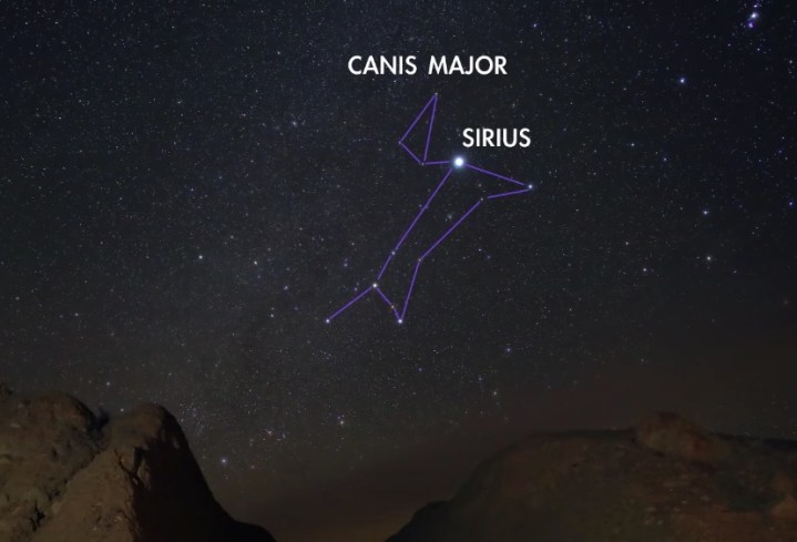 THe Canis Major constellation.