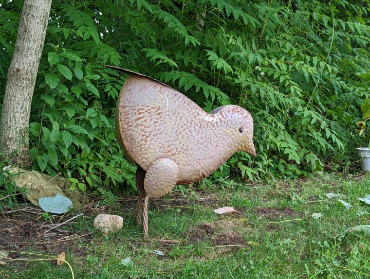 Una grande decorazione di pollo in metallo. È fuori con un sacco di verde dietro.