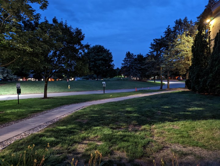 A photo of trees, the night sky, and a sidewalk taken late at night.