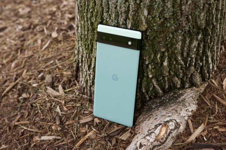 Google Pixel 6a standing up against a tree.