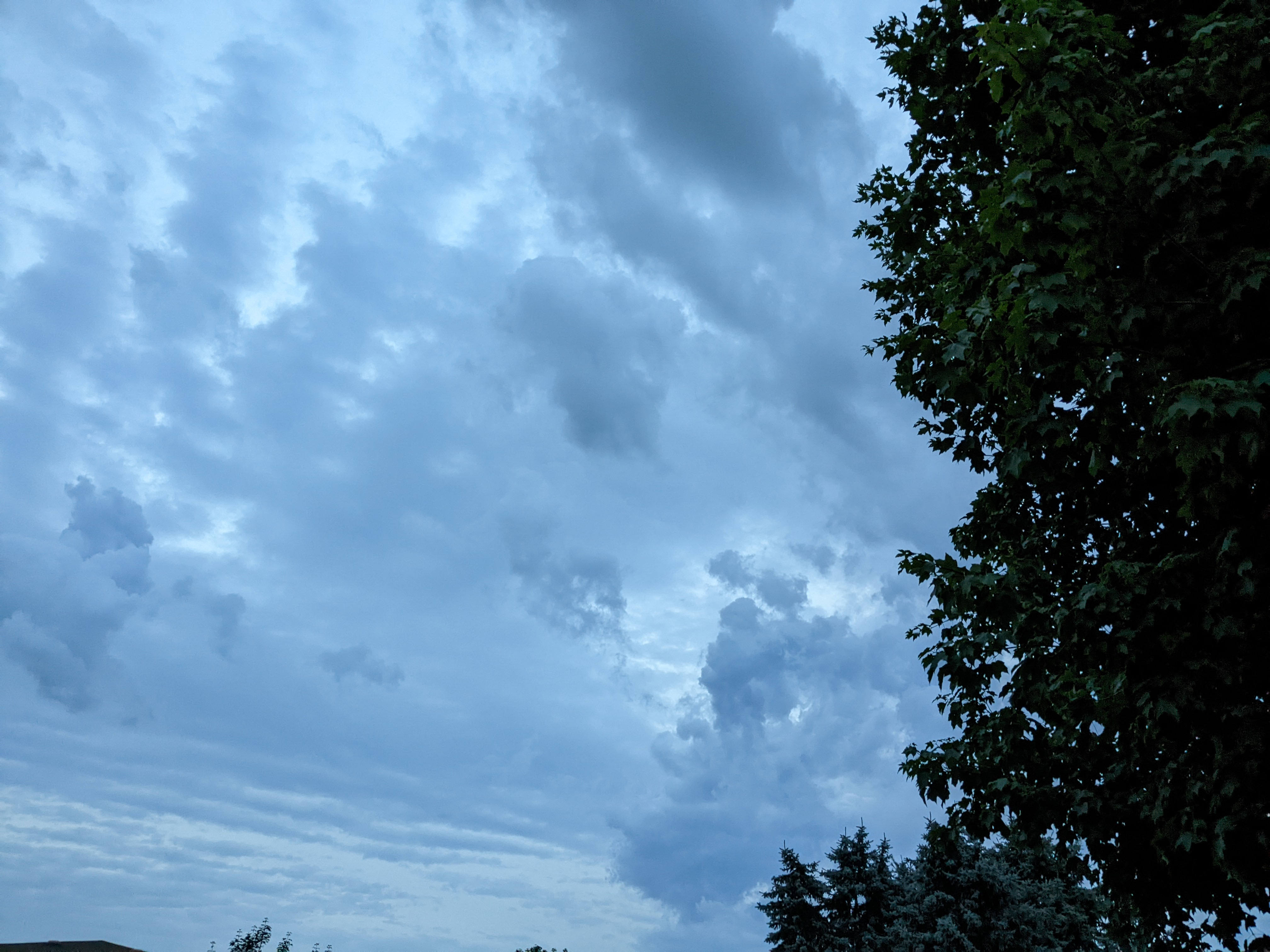 Un cielo tormentoso con nubes detalladas.  Parte de un árbol se ve en la esquina derecha.