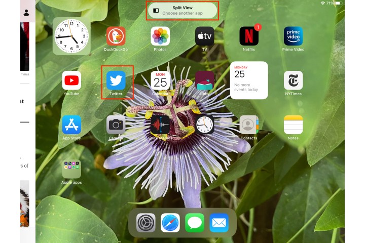 iPad split view seeks second app.