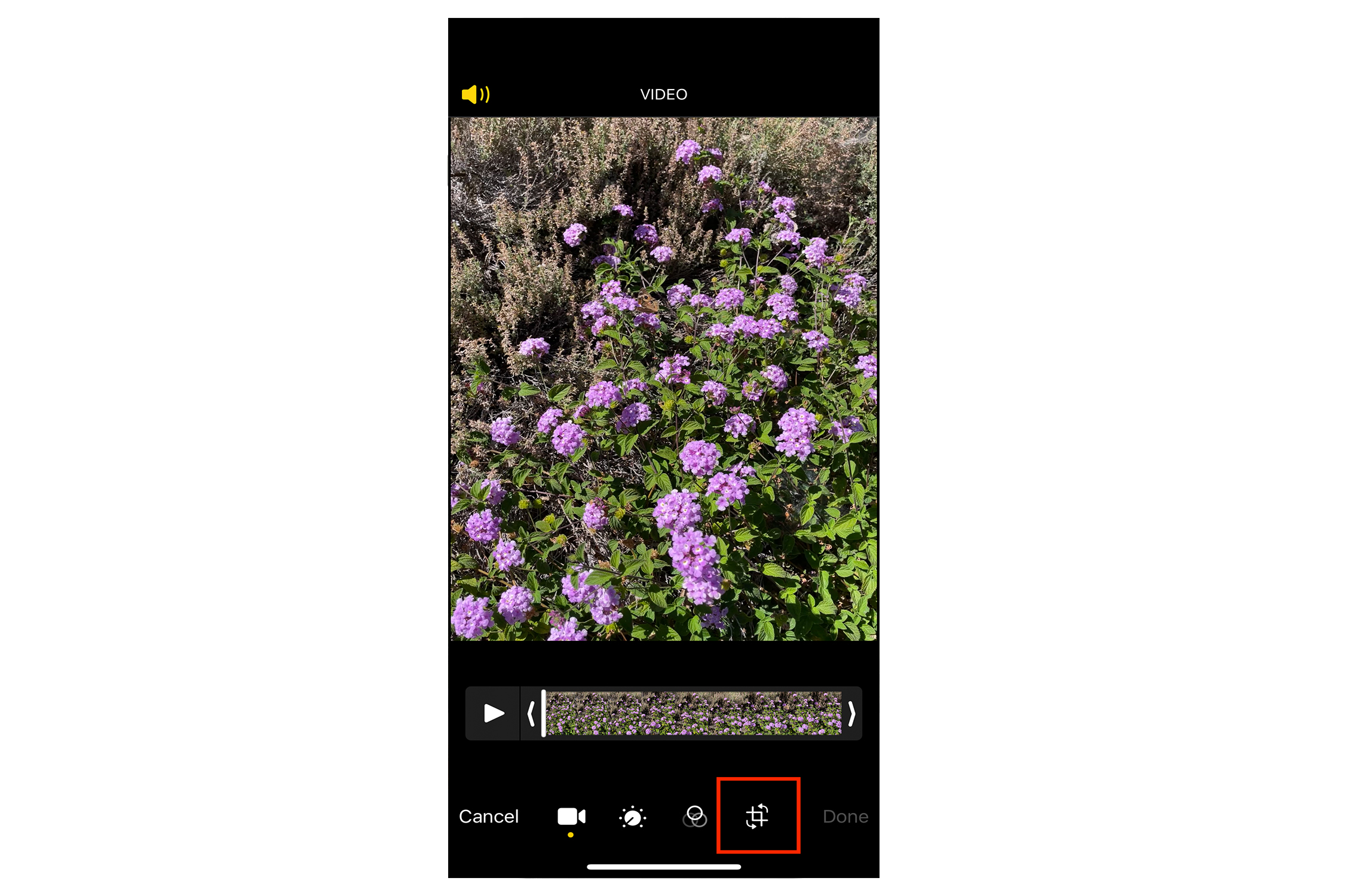 Controle de rotação de vídeo do aplicativo iPhone Photos.