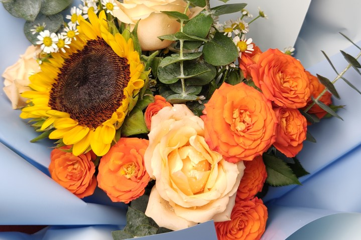 Sample image from the Motorola X30 Pro showcasing a bouquet of flowers inside baby blue paper.