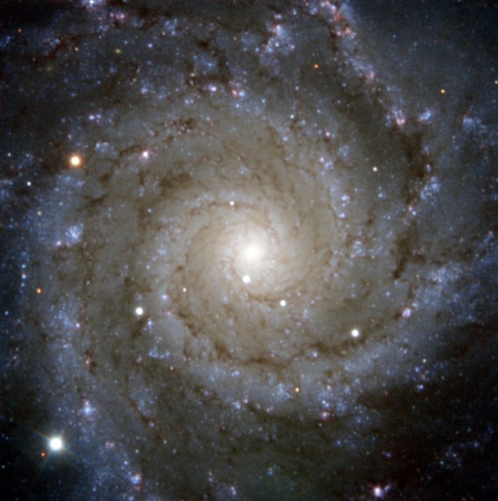 ESO's PESSTO survey has captured this view of Messier 74, a stunning spiral galaxy with well-defined whirling arms. 