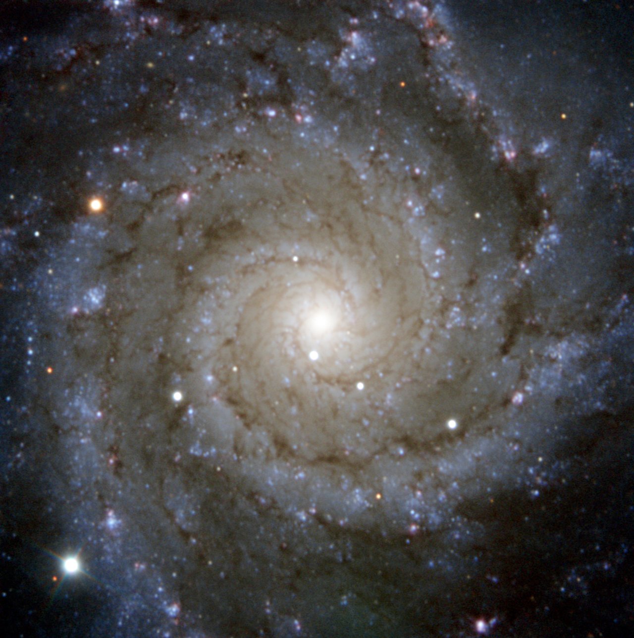 El sondeo PESSTO de ESO capturó esta vista de Messier 74, una impresionante galaxia espiral con brazos giratorios bien definidos. 