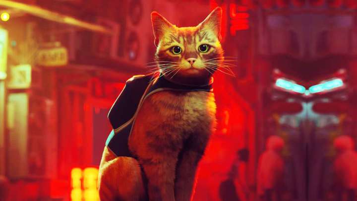 El gato principal de Stray mirando en primer plano con edificios cyberpunk detrás de él