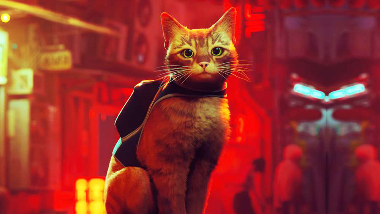 O gato principal de Stray olhando para o primeiro plano com edifícios cyberpunk atrás dele