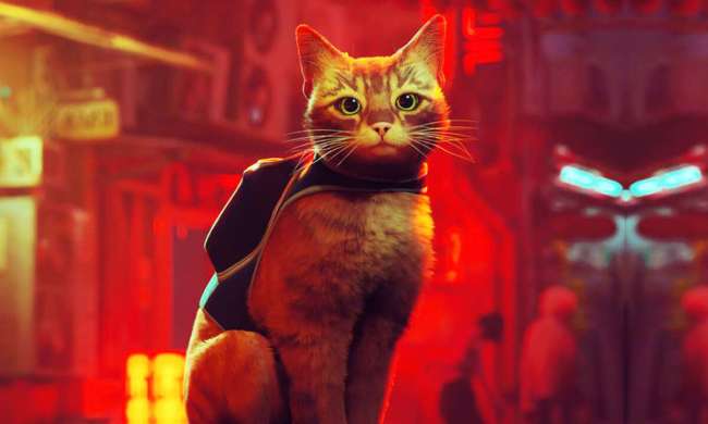 The main cat from Stray looking into the foreground with cyberpunk buildings behind him