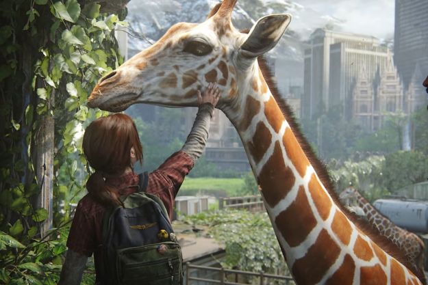 Ellie pets a giraffe in The Last of Us Part I.