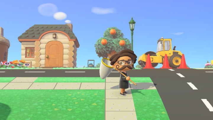 Catching a bug in Animal Crossing: New Horizons.
