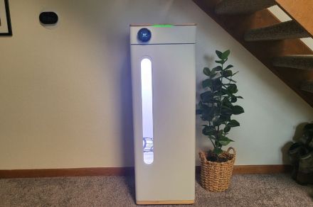 Abby Grow Box review: a green thumb for everyone