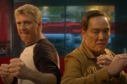 REVIEW: 'Cobra Kai' Season 5 is Ridiculously Delightful - Murphy's  Multiverse