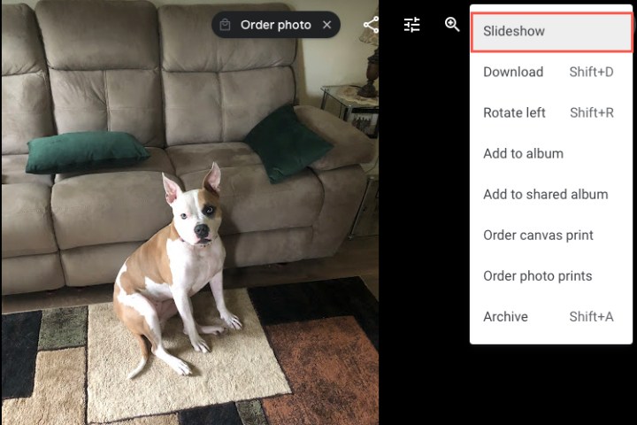 نمایش اسلاید در منوی گزینه های بیشتر در Google Photos.