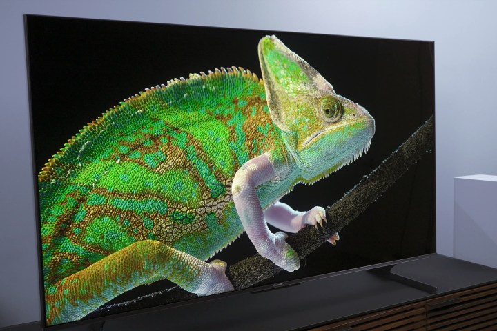 A chameleon on the screen of the Hisense U8H QLED 4K TV.