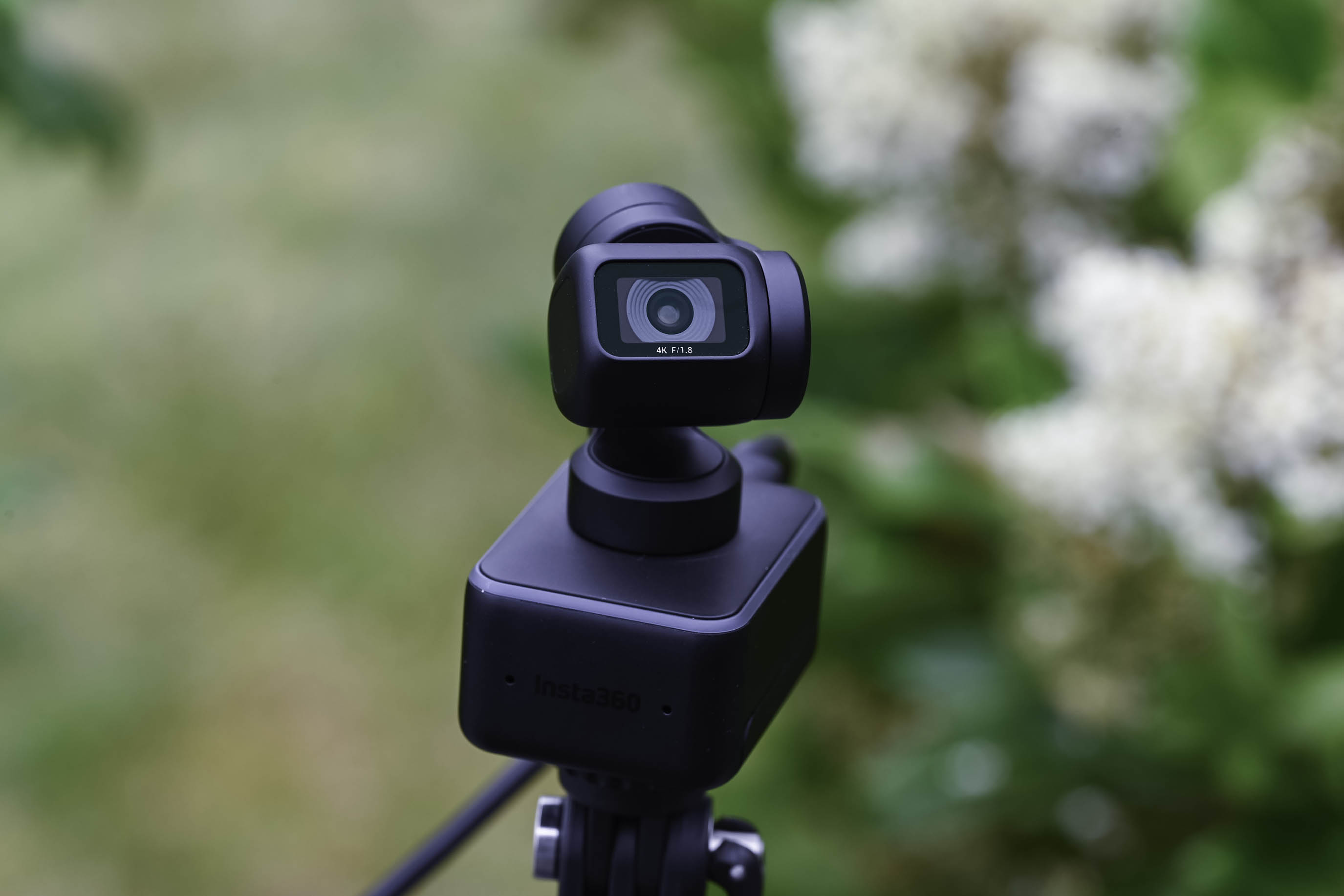 Insta360 Link review: breaking the webcam mold