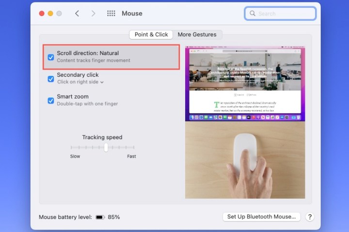 Scroll Direction mouse setting on a Mac.