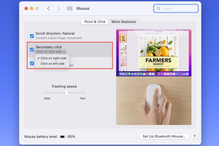 मैक पर सेकेंडरी क्लिक माउस सेटिंग।