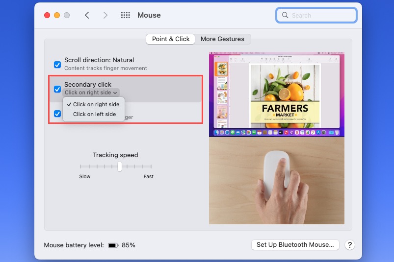 Secondary Click mouse setting on a Mac.