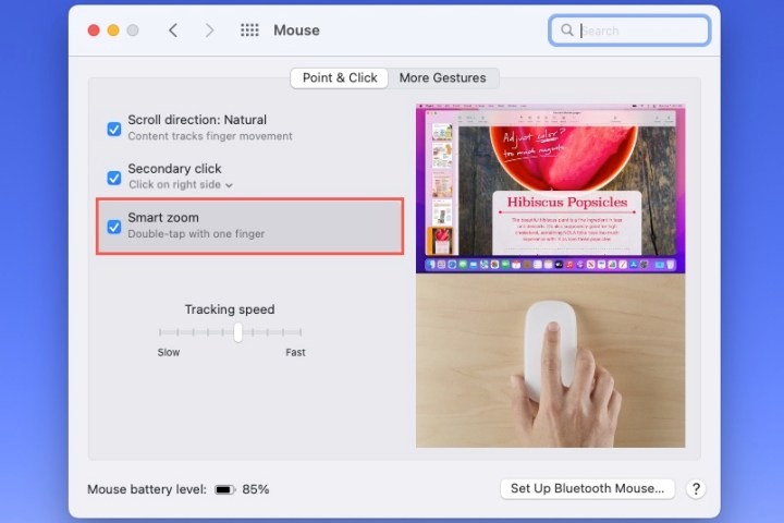 Smart Zoom mouse setting on a Mac.