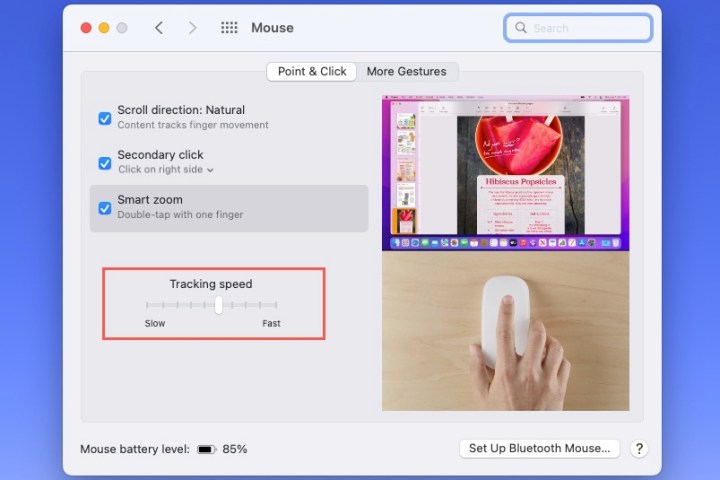 Tracking speed mouse setting on a Mac.