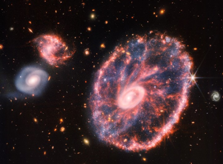 The Cartwheel Galaxy captured by the James Webb Space Telescope.