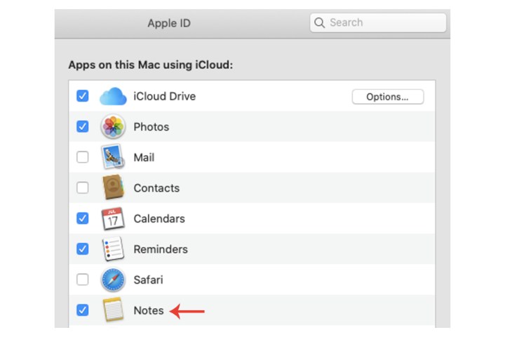 Enabling the Notes app to be connected to iCloud on Mac.
