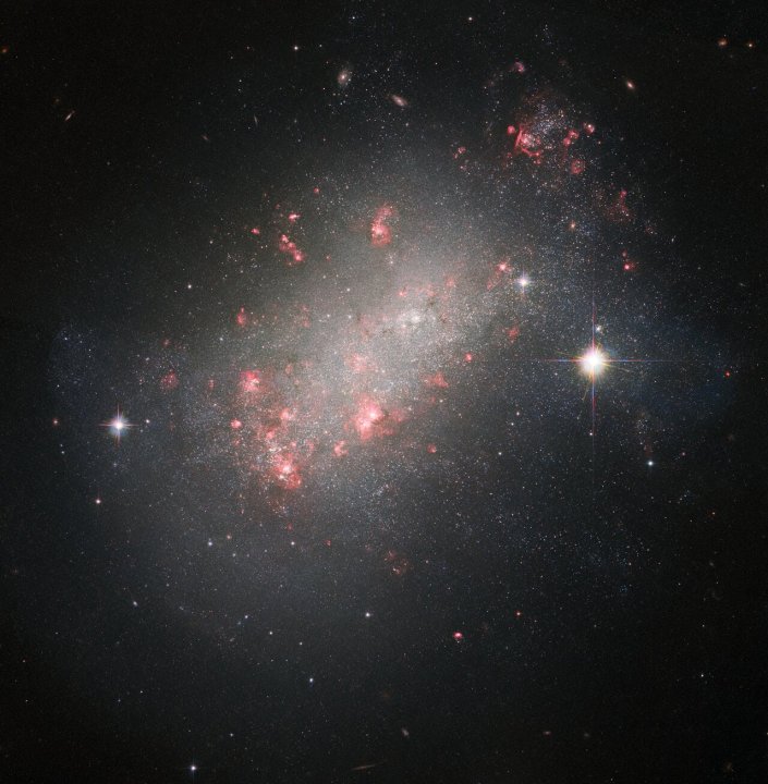 La Imagen de la Semana del Hubble tiene una forma diferente a muchas de las galaxias familiares para el Hubble, con miles de estrellas brillantes que evocan una galaxia espiral, pero carece de la característica estructura "sinuosa". T