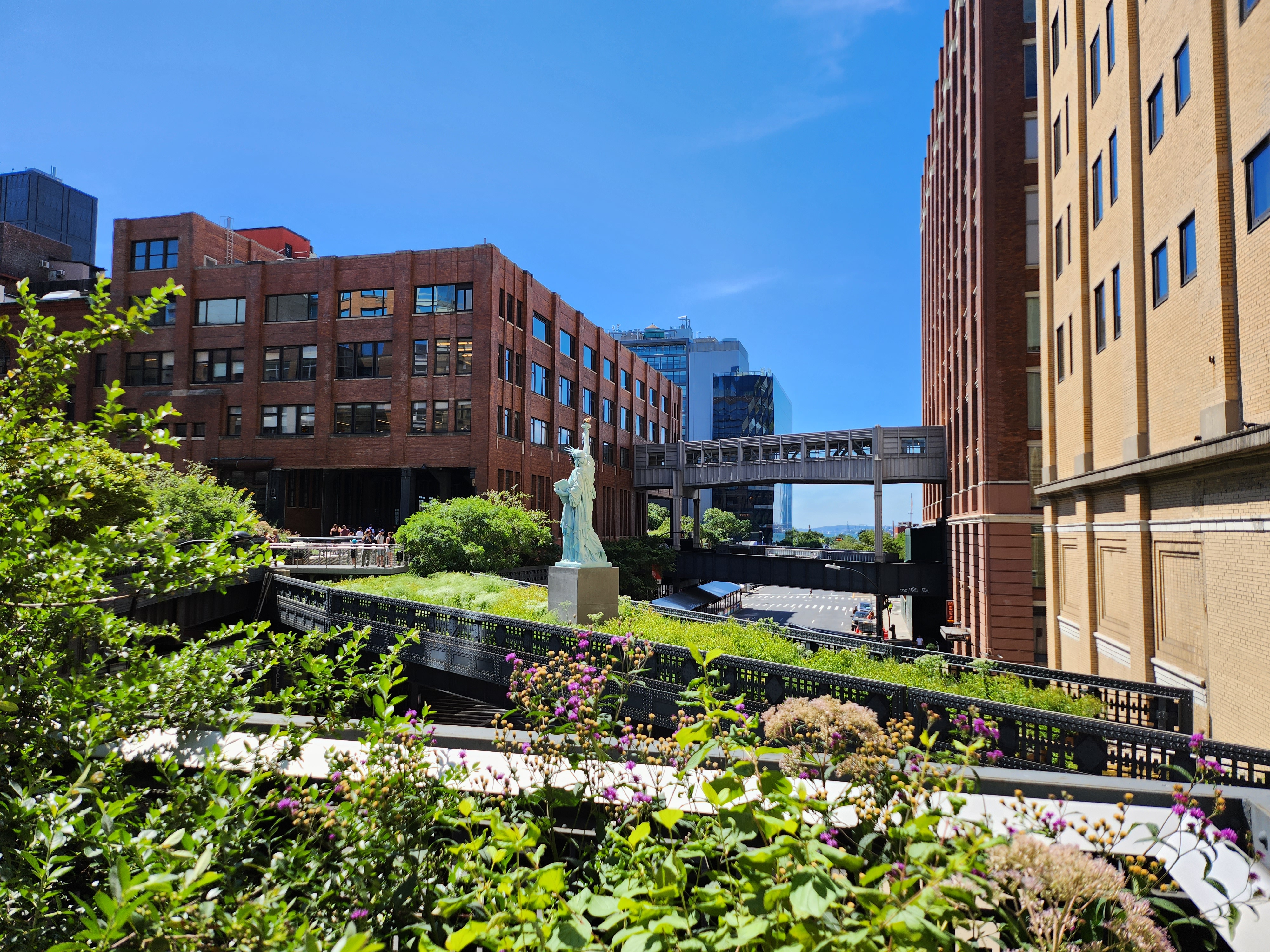 Photo from the High Line in New York City.