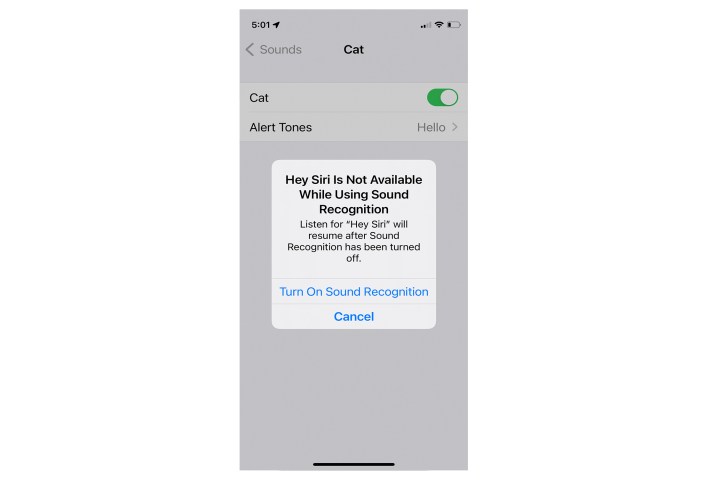 iPhone Sound Recognition Hey Siri warning.