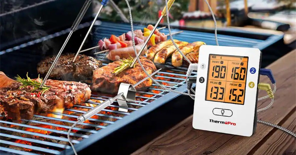 The Right Way to Use a Meat Thermometer
