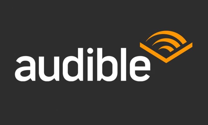 The Audible logo against a grey backdrop.