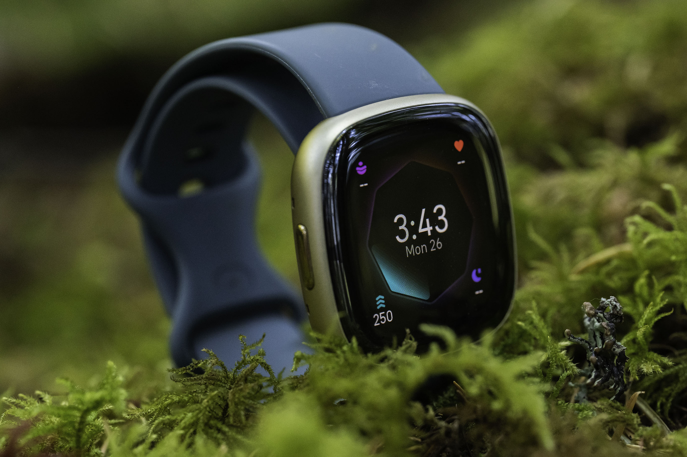 Fitbit Sense 2 review: A smart way to focus on fitness | Digital Trends
