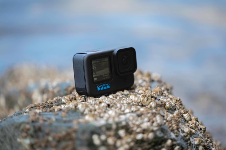 La GoPro Hero 11 Black sobre una roca junto al mar con percebes.