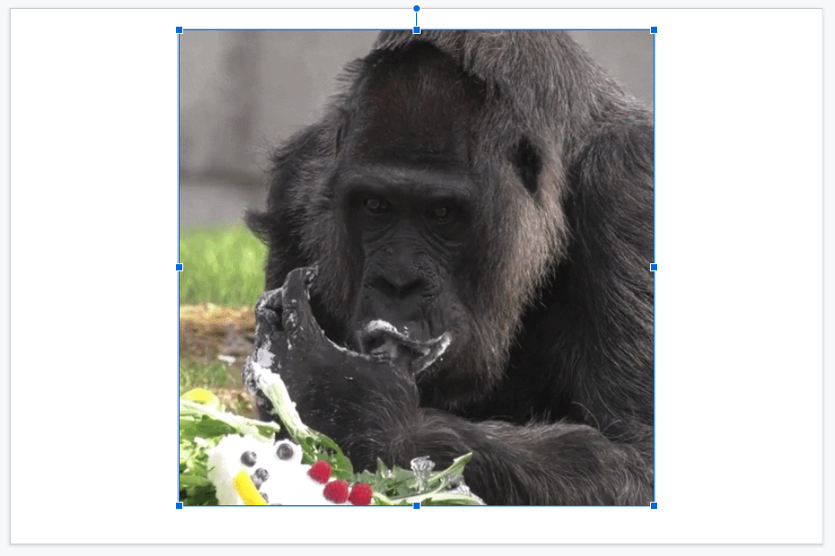 How To Add GIFs To Google Slides Digital Trends How To Add GIFs To Google Slides Digital Trends