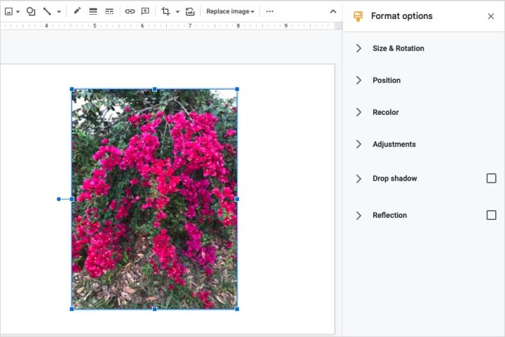 Image format options in Google Slides.