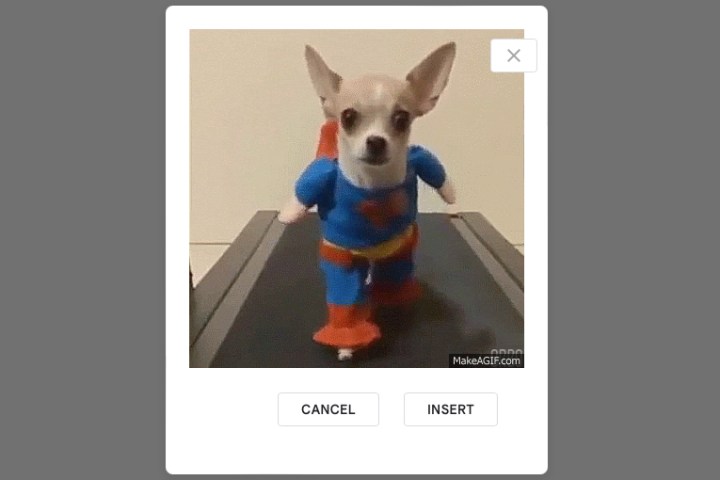 پیش نمایش GIF برای درج در اسلایدهای Google.