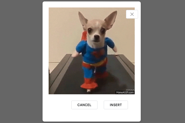 Visualização de GIF para inserir no Google Slides.