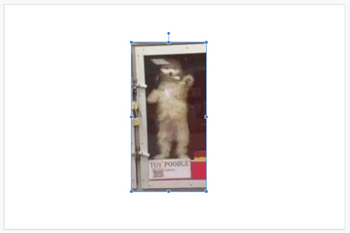 GIF در اسلایدهای Google آپلود شده است.