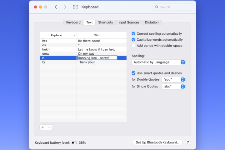 Cuadro de texto de reemplazo seleccionado para editar texto.